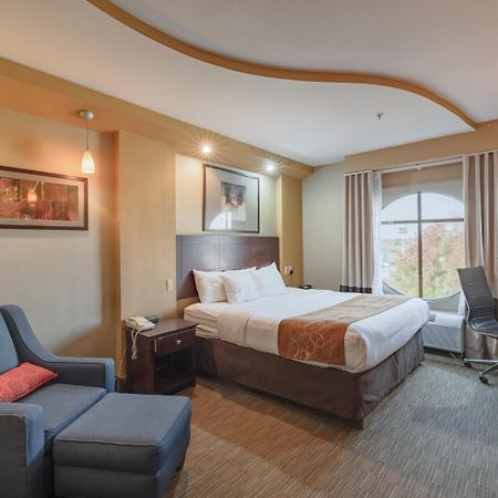 Comfort Suites Perrysburg - Toledo South מראה חיצוני תמונה